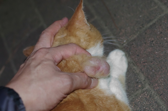 20191013jiro01.jpg