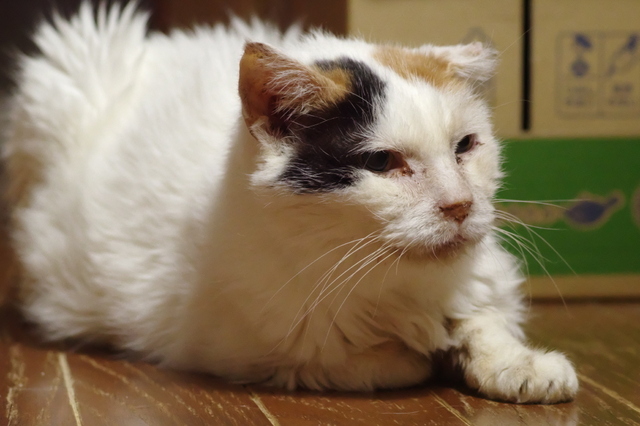 20191028oomike01.jpg