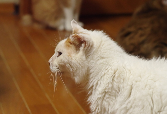 20191028oomike02.jpg