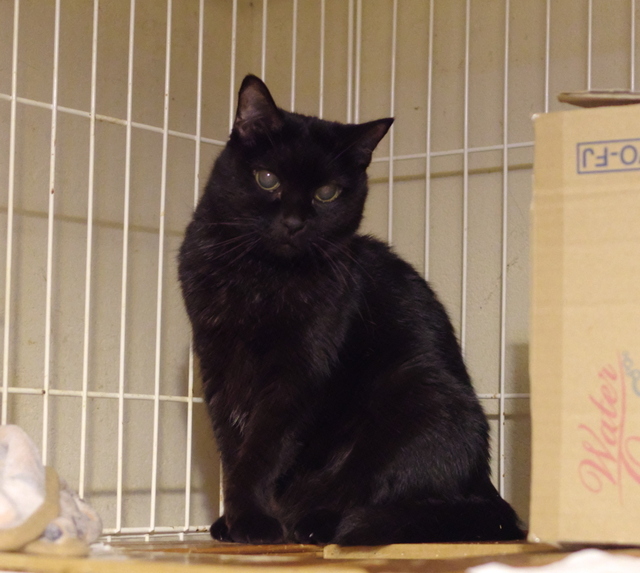 20191127sachi01.jpg