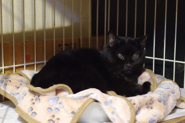20191127sachi02.jpg