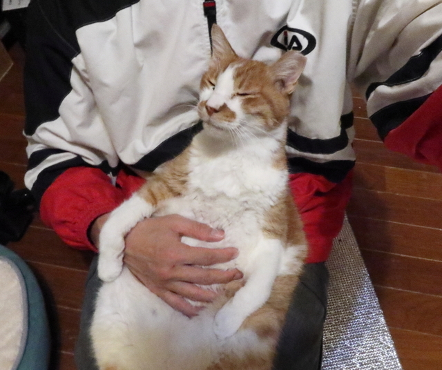 20191208saburo04.JPG