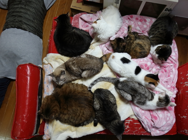 20191231HOME01.JPG