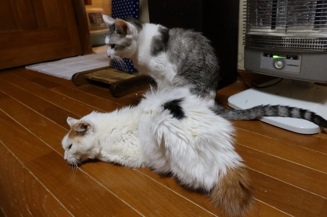20200123oomike02.JPG