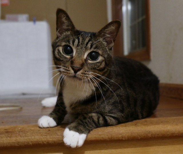 20200809kokoro02.JPG
