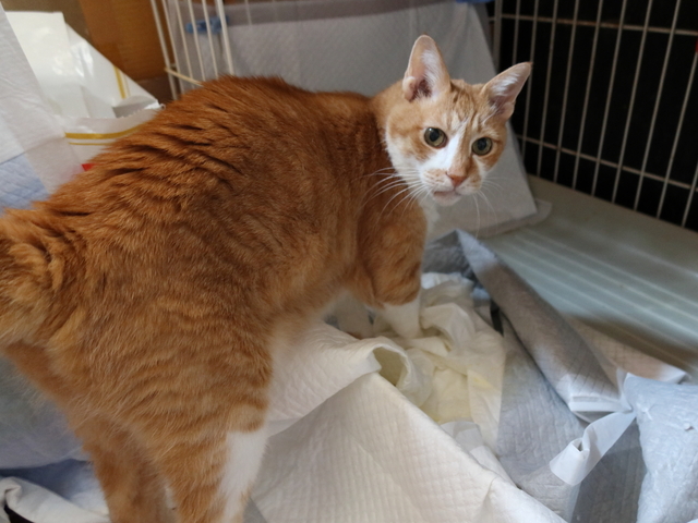 20200922taro01.JPG