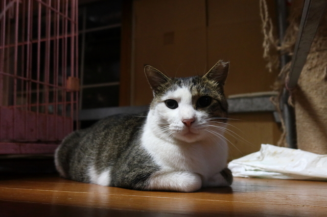 20201030masuo01.JPG