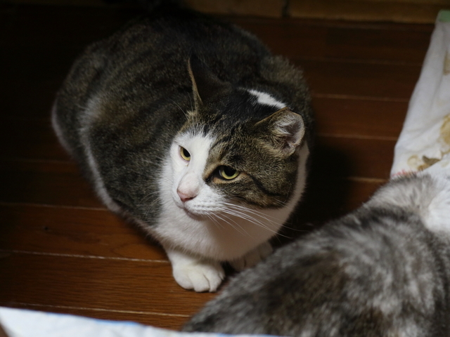 20201030masuo06.JPG