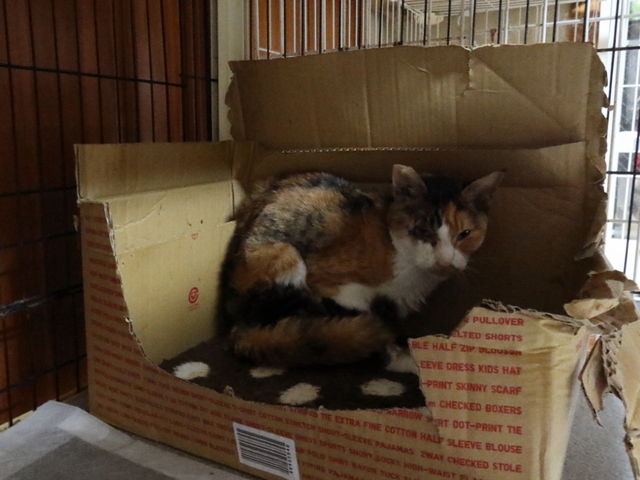 20201209mikemi02.JPG