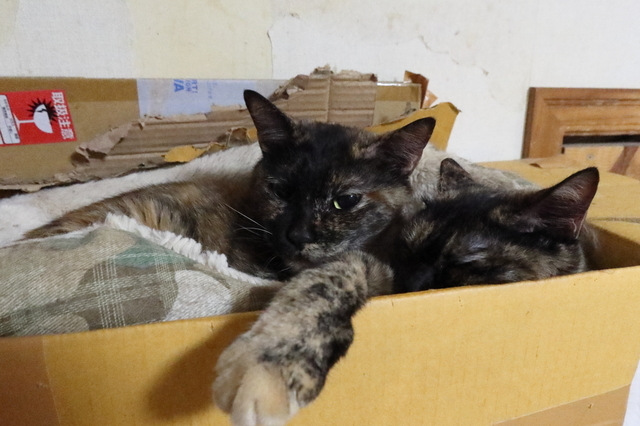 20201217nozomi_kanae02.JPG