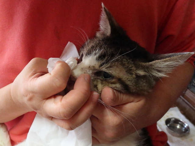 20201228ayumu02.JPG