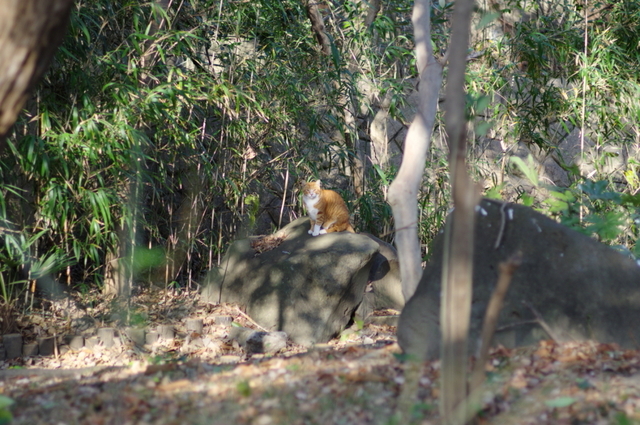 20210116park03.jpg