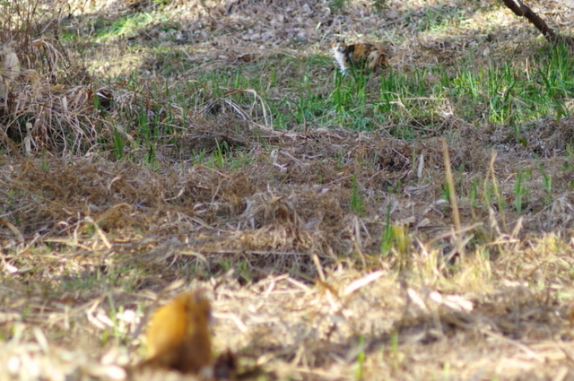 20210116park04.jpg