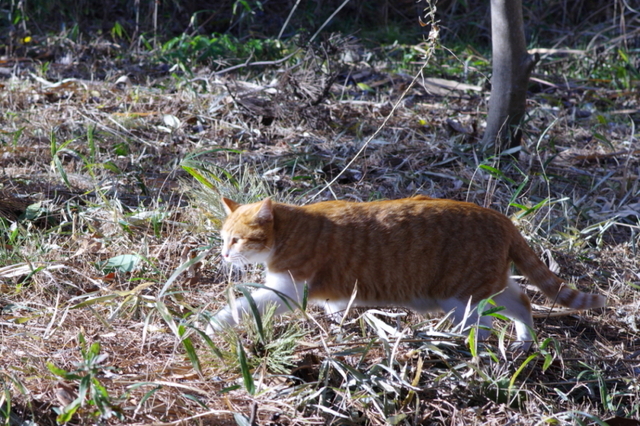 20210116park05.jpg