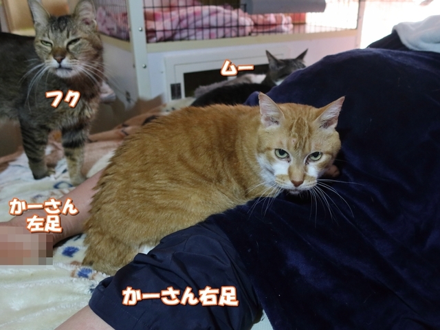 20210124jiro01.JPG