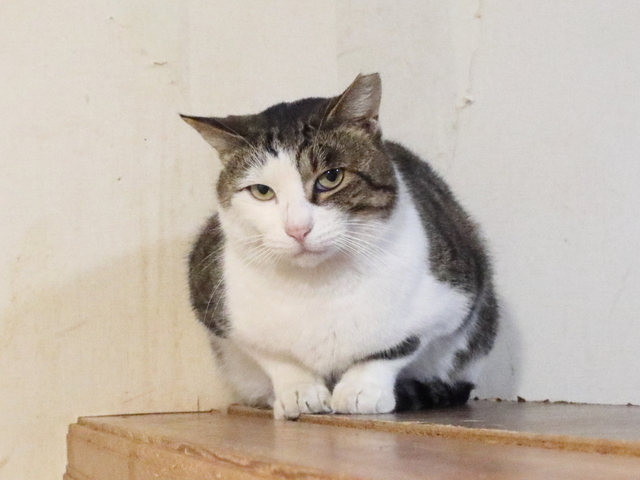 20210125masuo01.JPG