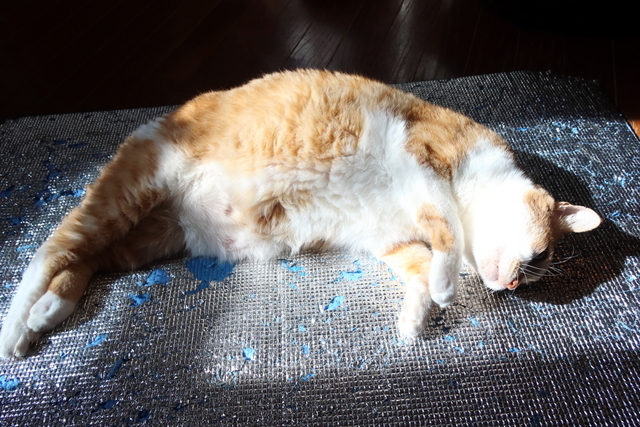 20210130jiro01.JPG