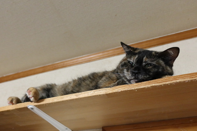 20210217nozomi02.JPG