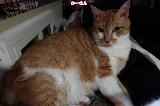 20210225jiro01.JPG