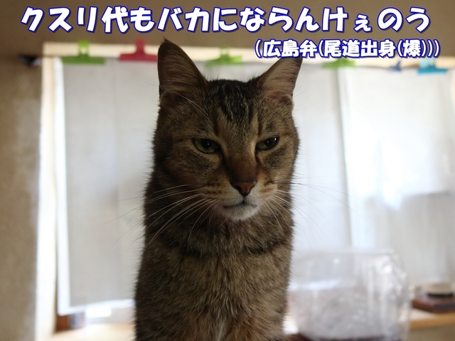 20210227fuku02.JPG