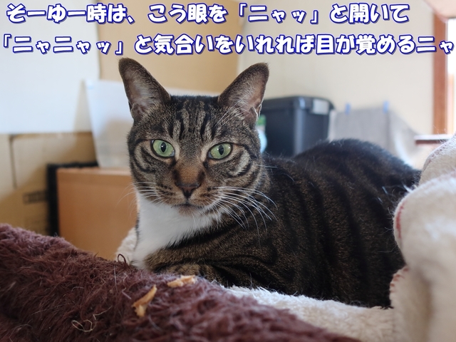 20210227kokoro011.JPG