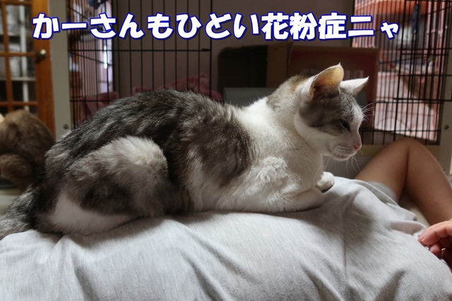 20210227rui02.JPG