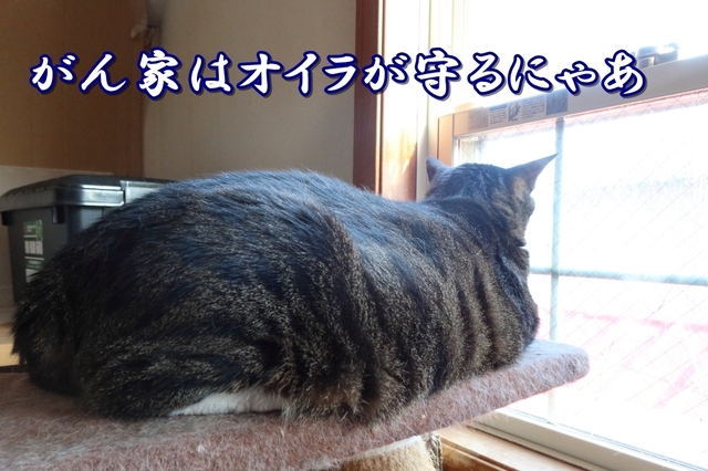 20210407kokoro02.JPG