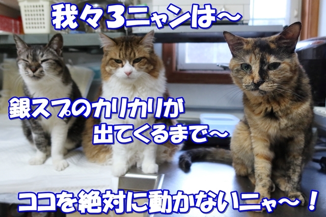 20210531home01.JPG