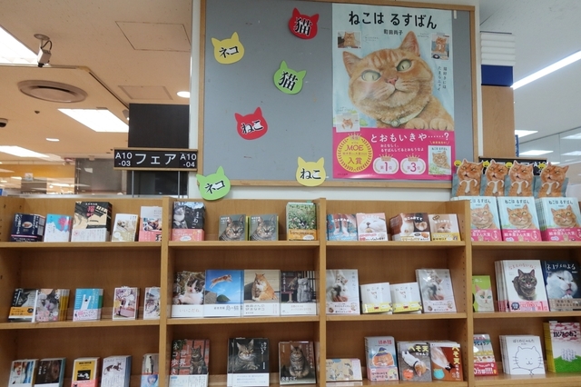20210613sogo01s.JPG