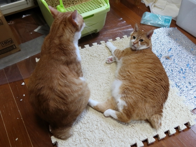20210617taro_jiro01.JPG
