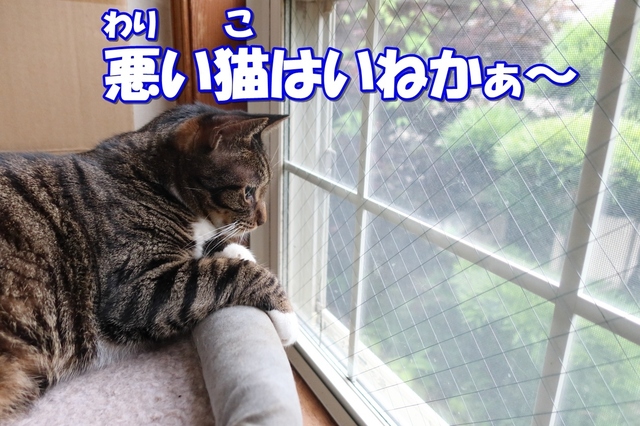 20210703kokoro02.JPG