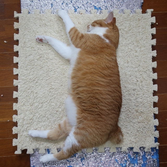 20210729taro01s.JPG