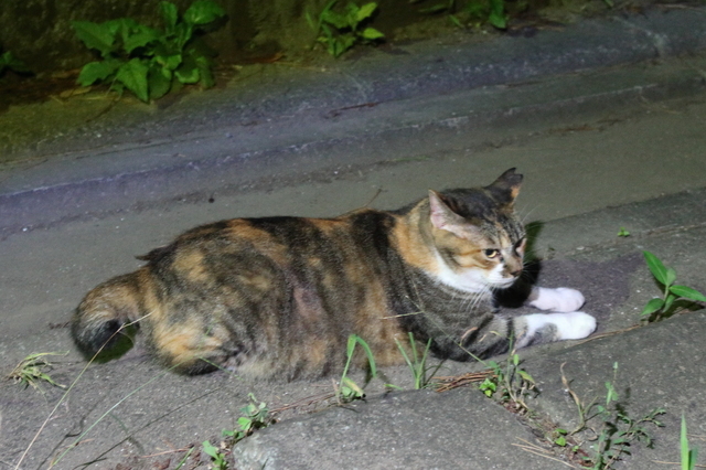20210822mike02.JPG