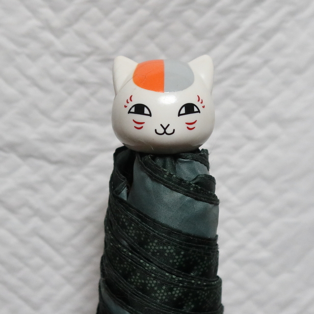 20210906kasa04.JPG