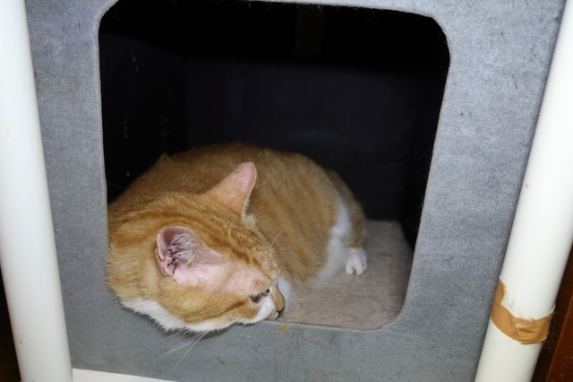 20210909jiro01.JPG