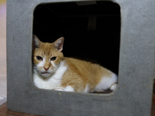 20210909jtaro02.JPG