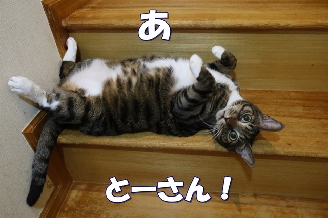 20210909kokoro01.JPG