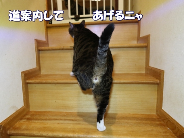 20210909kokoro03.JPG