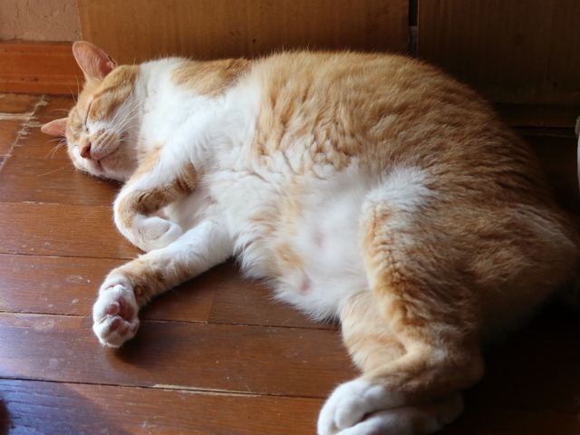 20210920jiro01.JPG