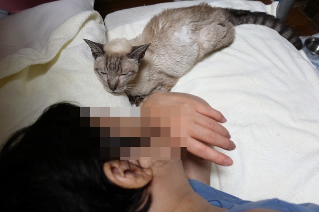 20211003chiro01.JPG