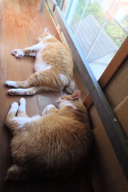20211030taro_jiro01.JPG