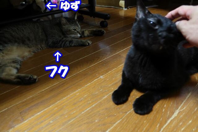 20220916kuh05S.JPG