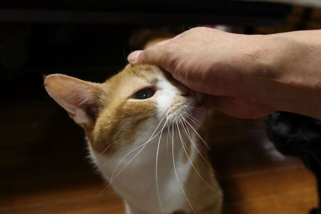 20220916taro01S.JPG