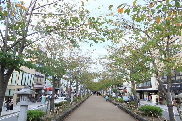 20221022kamakura05S.JPG