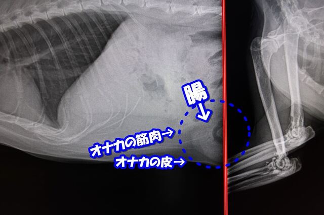 20221103taro03S.JPG