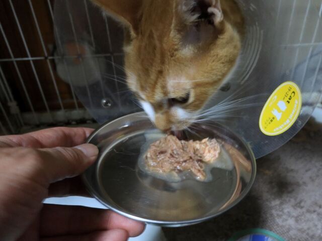 20221113taro03S.JPG
