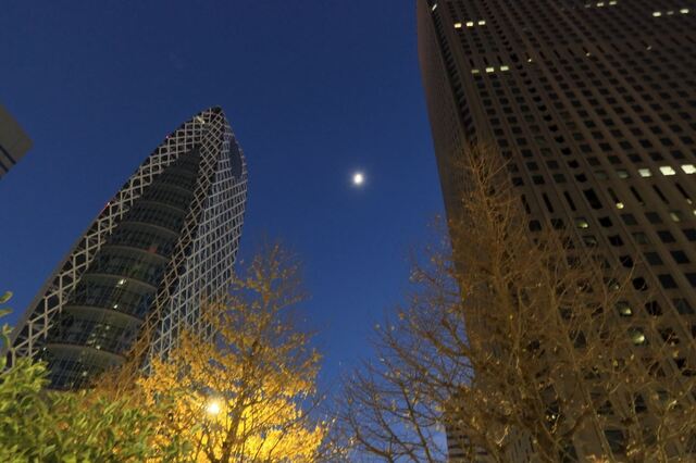 20221230shinjuku02S.JPG
