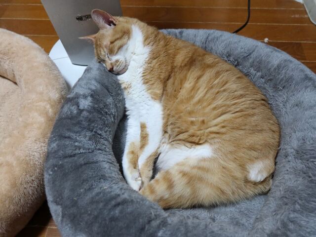 20230216taro01S.JPG