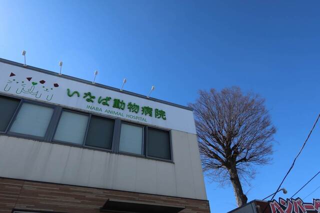 20230226shou04S.JPG