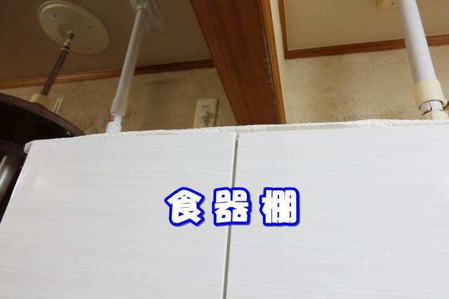 20230227mikena01S.JPG